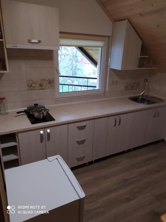 Panorama Apartment Kvasy Luaran gambar